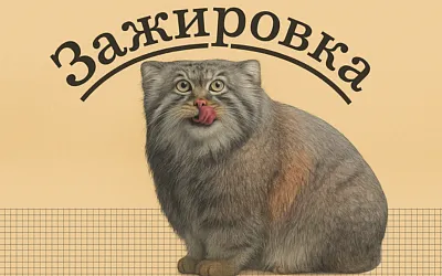 Зажировка — слово, которое наконец объяснило зиму
