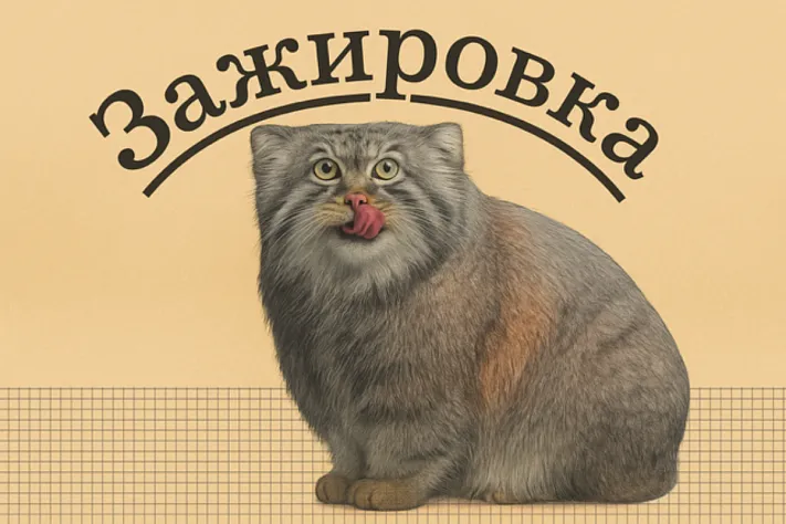 Зажировка — слово, которое наконец объяснило зиму