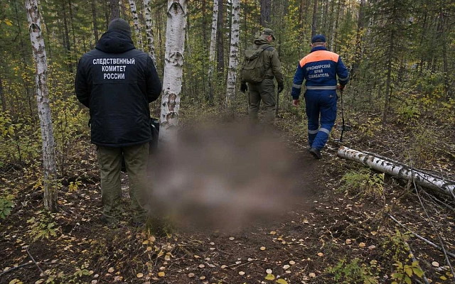 Под Подтёсово нашли двух женщин со следами нападения медведя