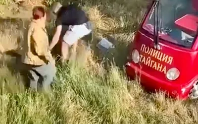 Львы прокусили горло владельцу крымского парка «Тайган»