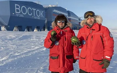 Российские учёные в Антарктиде собрали рекордный урожай арбузов