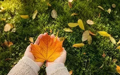 Сентябрь не спешит становиться осенью