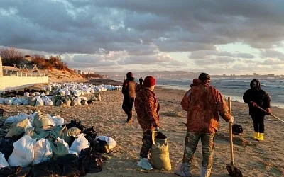 В пригороде Анапы открыли пункт по спасению птиц