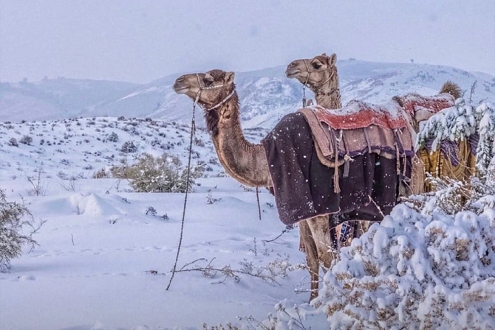 В пустынях Саудовской Аравии впервые за десятилетия выпал снег