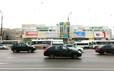 Мясо с сибирской язвой попало на воронежский рынок