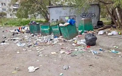 Крысы множатся в крупных сибирских городах — жалобы и нападения растут