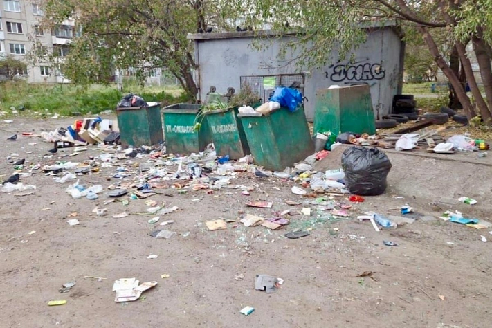 Крысы множатся в крупных сибирских городах — жалобы и нападения растут