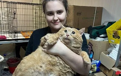Пермский кот Крошик умер