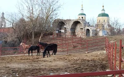 В Серпухове могут восстановить кремль