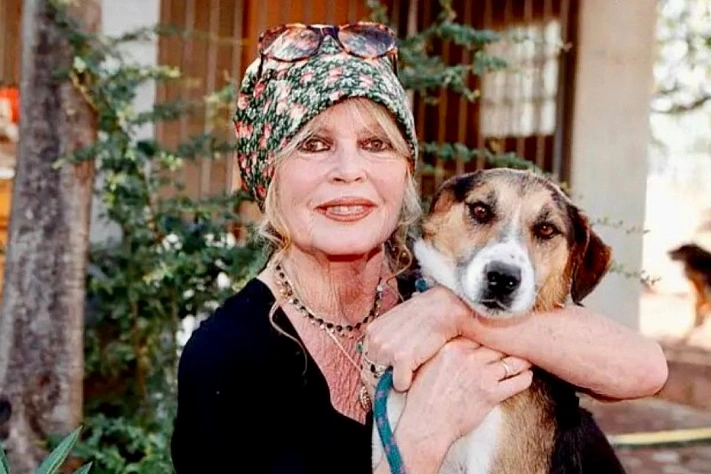 Правые во Франции просят национальные почести для Брижит Бардо