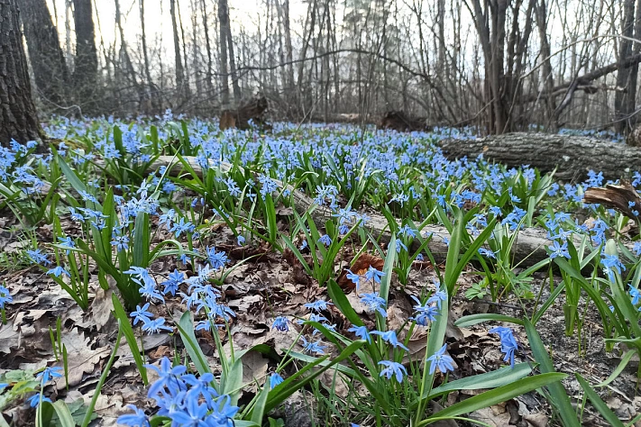 Тепло приближается к столичному региону