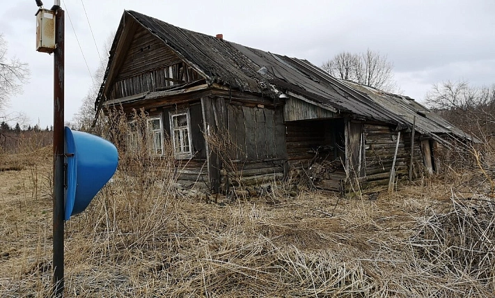 Брянщина продолжает активно вымирать