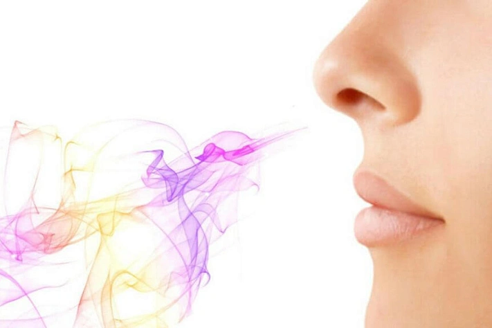 Как запахи управляют телом и помогают диагностировать болезни