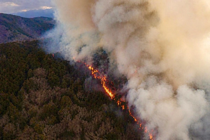 Пожары в Японии подошли к жилым районам