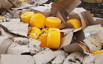 В сыре «Старобубский» обнаружены опасные вещества