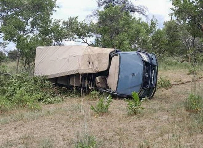 В Замбии слон напал на машину с туристами во время сафари