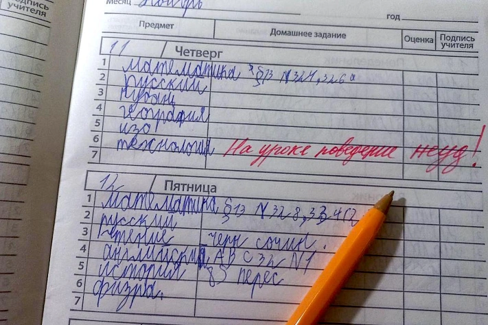 Оценки за поведение в школах могут стать обязательными во всех российских школах