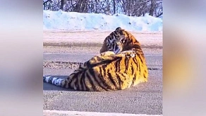 Амурская время сейчас