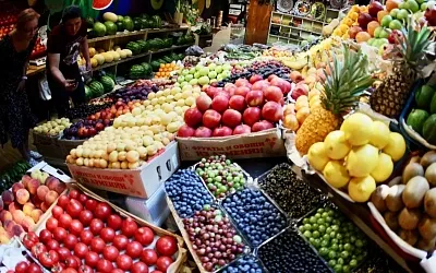 Цены на абрикосы и персики могут вырасти на 20% из-за весенних заморозков