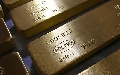 Международные резервы России установили новый исторический рекорд