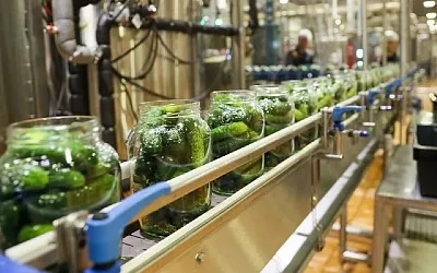 Россия обновила рекорд по экспорту консервированных огурцов