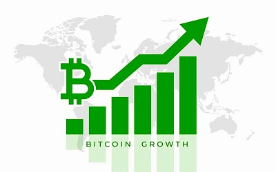Цена биткоина достигла исторического максимума, превысив $80 000