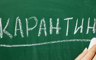 На Алтае свыше двухсот классов отправили на карантин