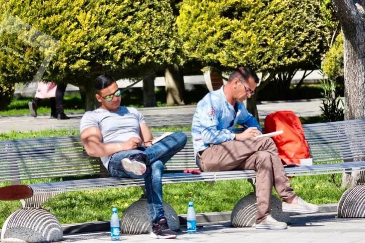 Прогулки вместо таблеток: как природа лечит лучше антидепрессантов