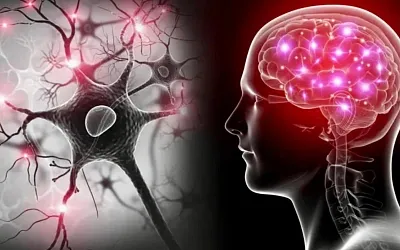 Ученые впервые зафиксировали активность мозга перед смертью