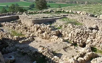 Ритуальное захоронение ослиц в Израиле раскрывает древние торговые тайны