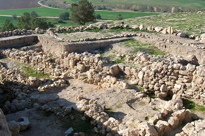 Ритуальное захоронение ослиц в Израиле раскрывает древние торговые тайны