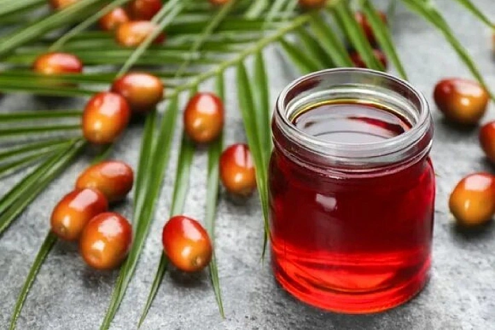 Федеральное правительство заявило о безопасности пальмового масла