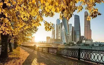 2024-й оказался самым тёплым в Москве