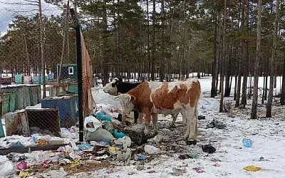 Стихийная свалка на Ольхон угрожает экосистеме Байкала