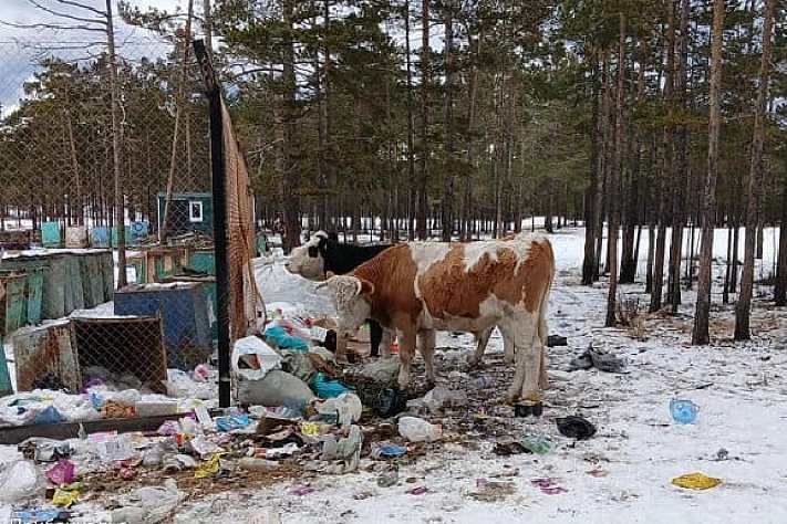Стихийная свалка на Ольхон угрожает экосистеме Байкала