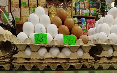 За неделю куриные яйца подорожали ещё на 3,95%