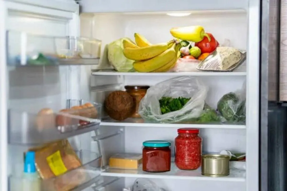 Профессор Пироговского университета объяснила правила хранения продуктов в холодильнике