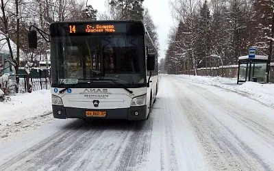 В праздники изменится расписание общественного транспорта Подмосковья