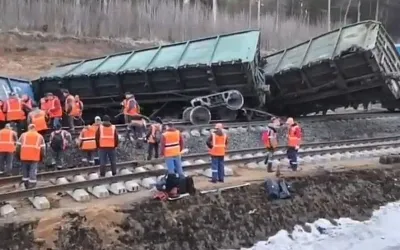 В Подмосковье с рельсов сошли сразу 10 вагонов