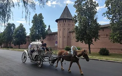 В Суздале могут запретить конские повозки