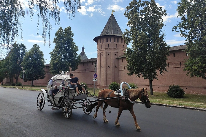 В Суздале могут запретить конские повозки