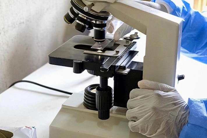 Израильские учёные описали клетки, которые поддерживают здоровое старение