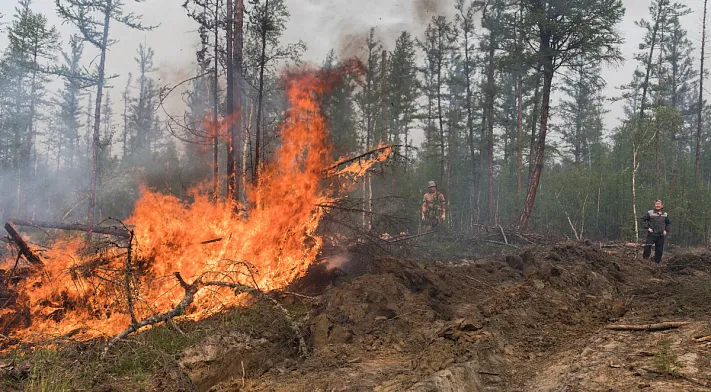 Почти 400 тысяч гектаров лесов горит в Якутии