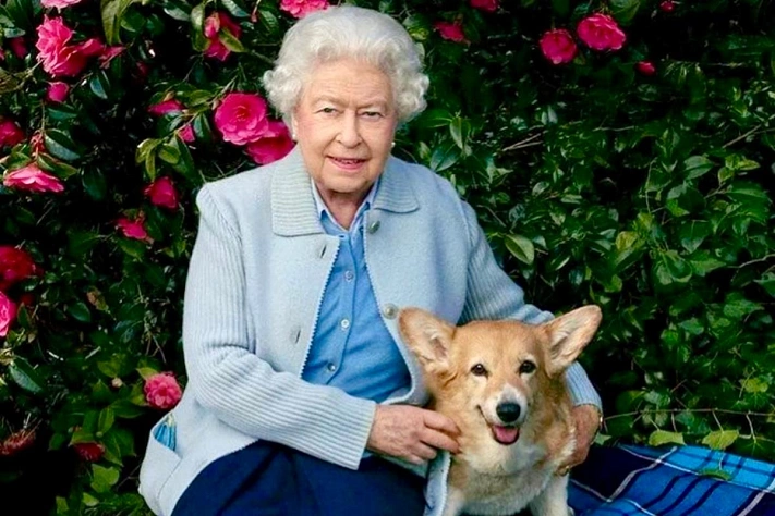 Корги Елизаветы остаются в семье
