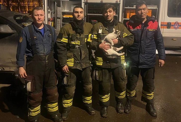 В Москве спасли кота-«механика», застрявшего в машине