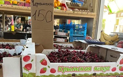 Россиянам рассказали о пользе и вреде сезонных майских ягод