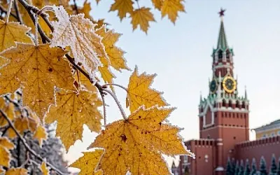 Первые заморозки придут в Московский регион в ночь на 4 октября