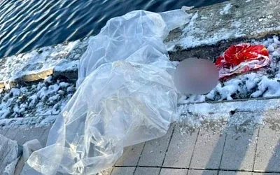 Голову ребёнка нашли в Гольяновском пруду
