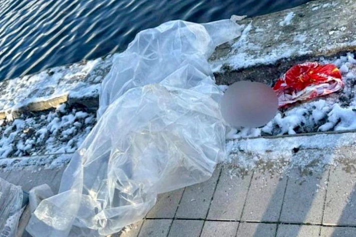 Голову ребёнка нашли в Гольяновском пруду