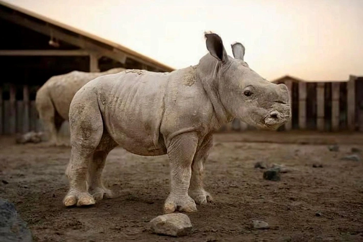 Имя, которое оказалось не менее важным, чем факт рождение